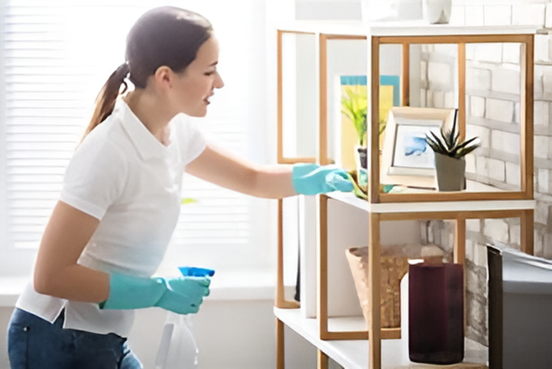 Light Housekeeping Services in Pennsylvania